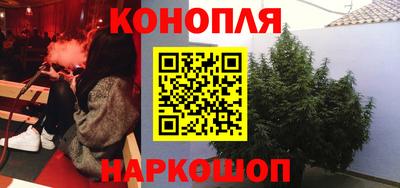 спайс Тара