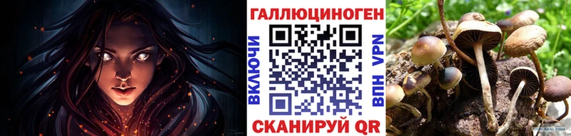MEGA вход  Набережные Челны  Псилоцибиновые грибы GOLDEN TEACHER 