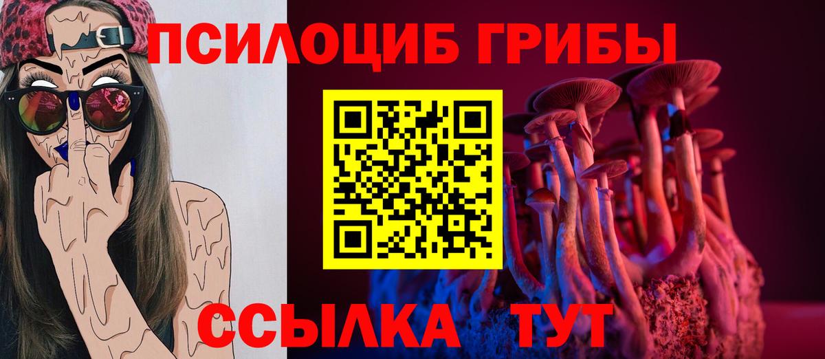 Псилоцибиновые грибы Psilocybe  Вход с VPN  сколько стоит  Набережные Челны 